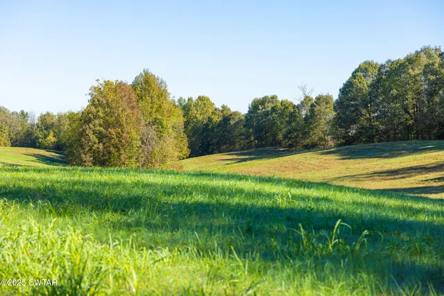 a garden view with a lake