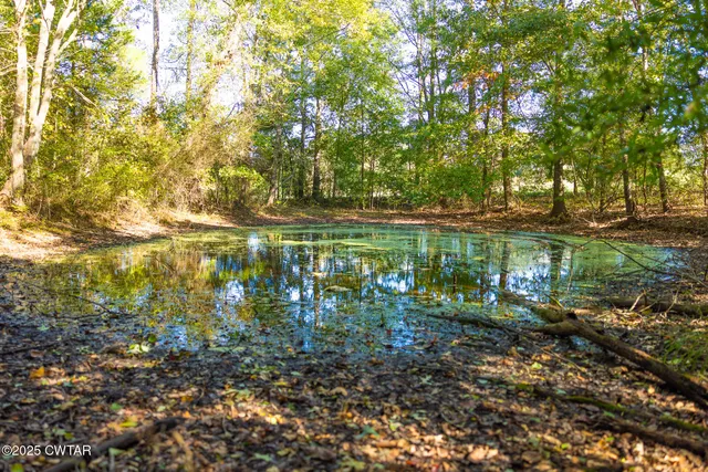 a view of grassy field with trees
