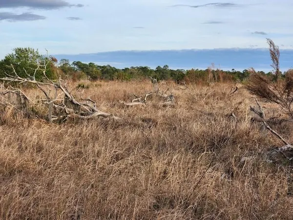 a view of a lake with a mountain in the background