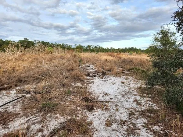 a view of a field