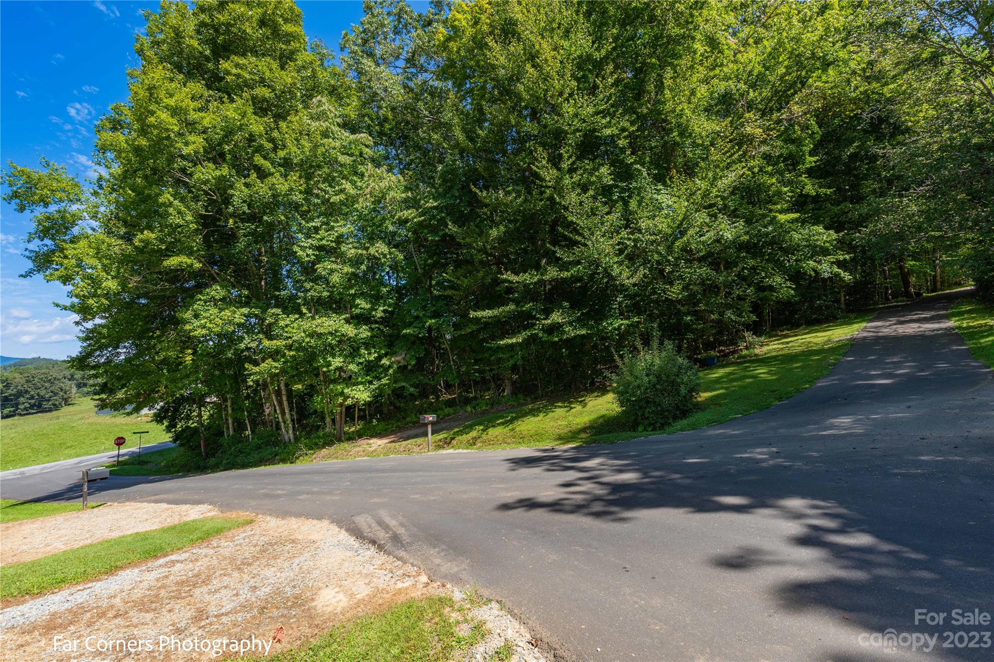 Tbd Island Ford Road Brevard, NC 28712 - Photo 5 of 14 Gallery Image 5