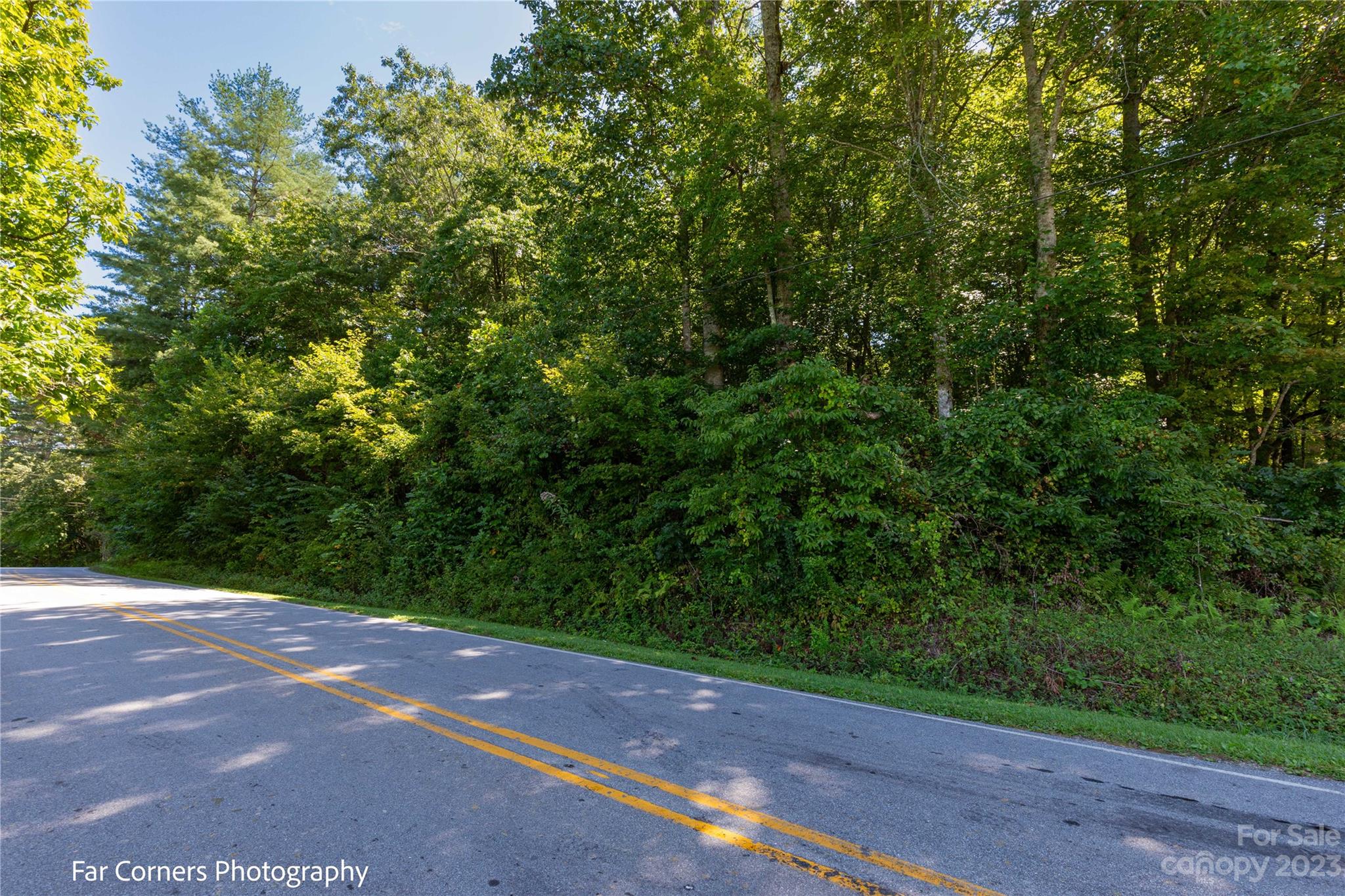 Tbd Island Ford Road Brevard, NC 28712 - Photo 6 of 14 Gallery Image 6