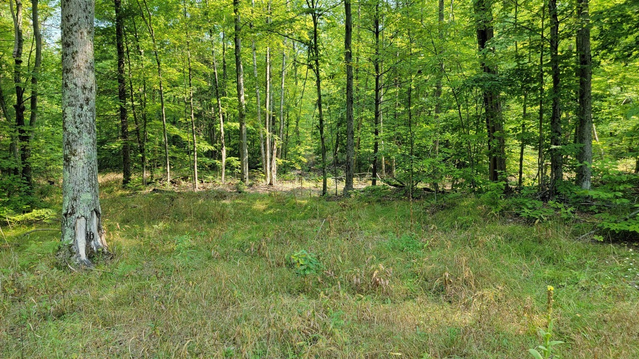 5 5 Mile Road Lakeview, MI 48850 - Photo 11 of 14
