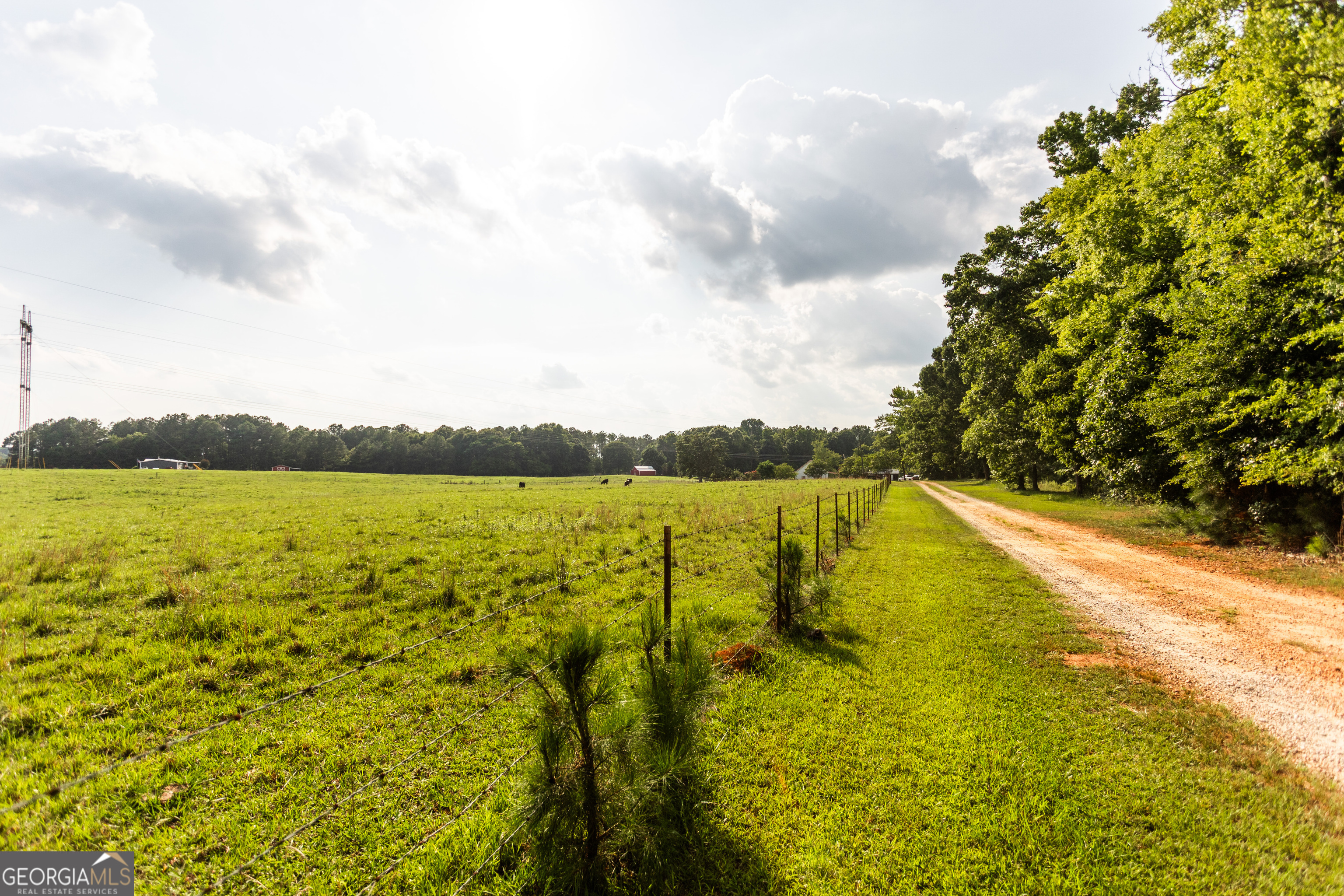 1441 Dickson Road Rutledge, GA 30663 - Photo 4 of 51