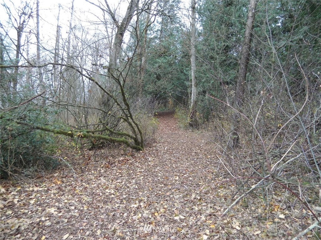 525 East Hemmi Road Lynden, WA 98264 - Photo 5 of 6