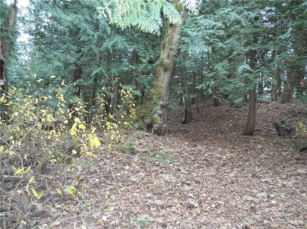 525 East Hemmi Road Lynden, WA 98264 - Photo 6 of 6