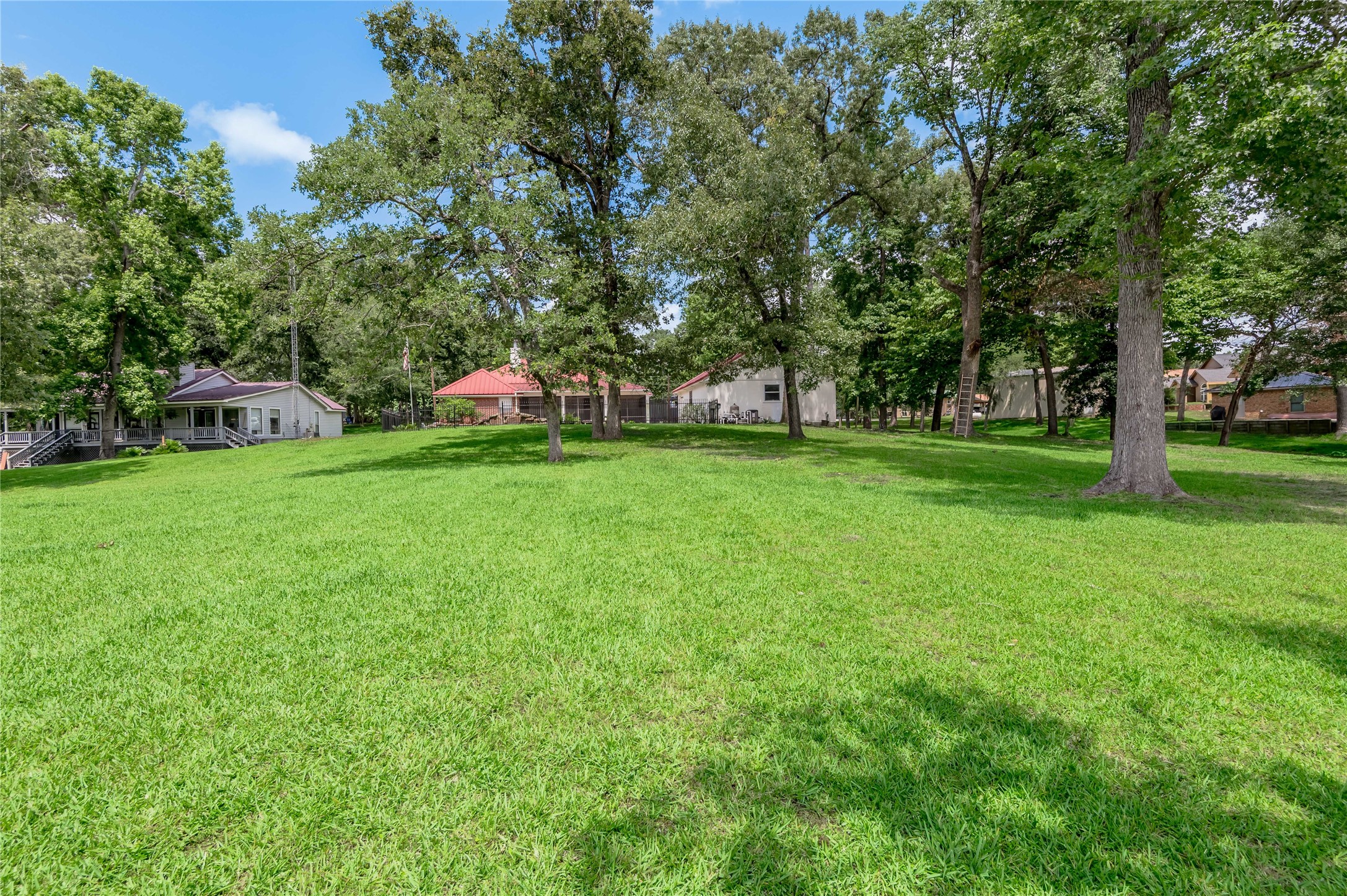 324 Red Oak Lane Trinity, TX 75862 - Photo 41 of 49 a backyard of a house with lots of green space