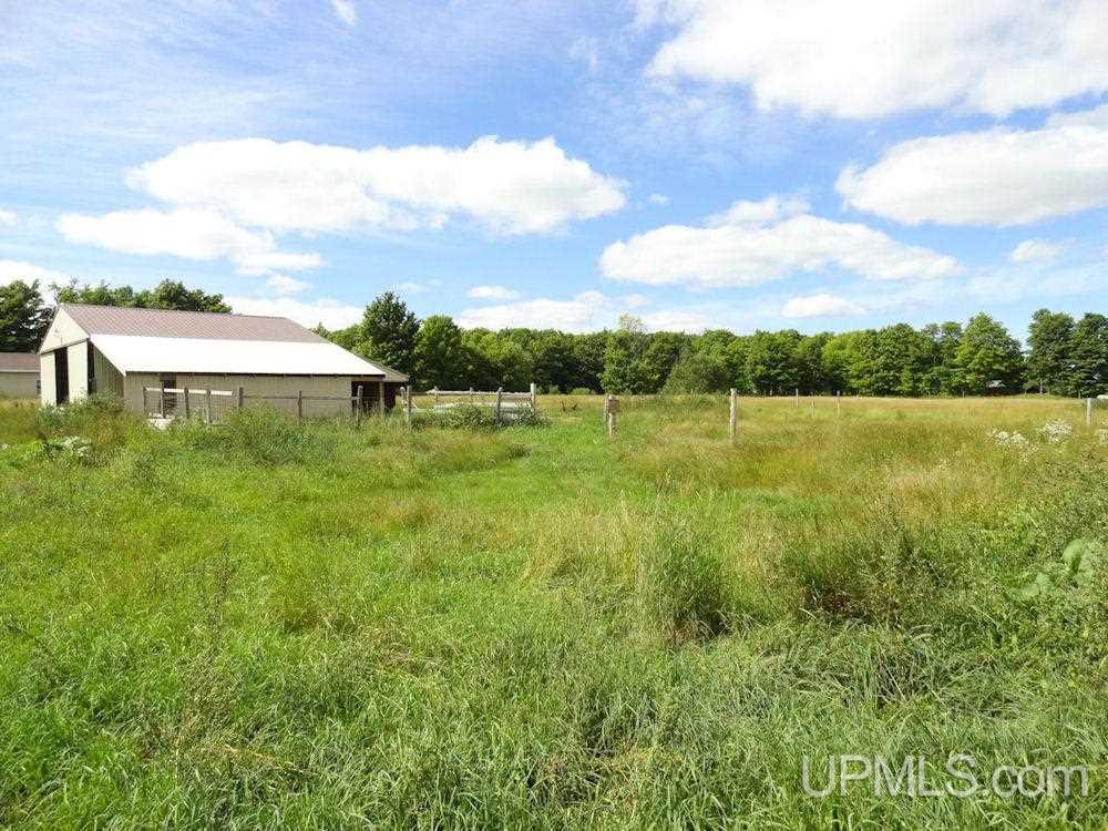 N5058 Benson Road Chatham, MI 49816 - Photo 11 of 31