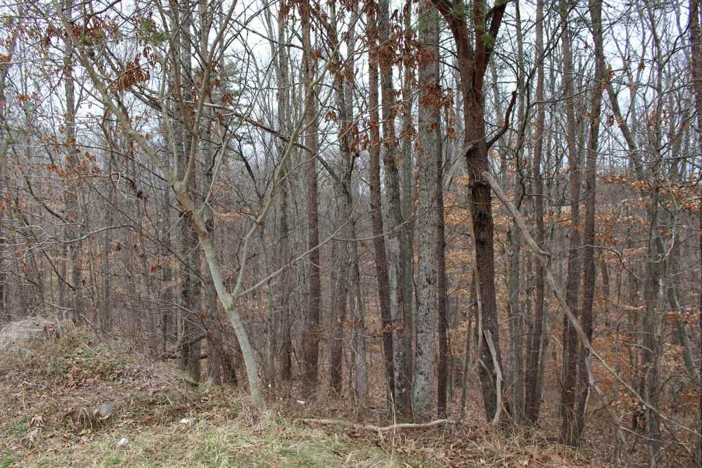 126 Ridgeview Drive Milton, WV 25541 - Photo 23 of 27 Gallery Image 23