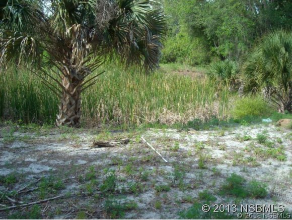 4590 Tree Top Lane Edgewater, FL 32141 - Photo 13 of 24 Gallery Image 13
