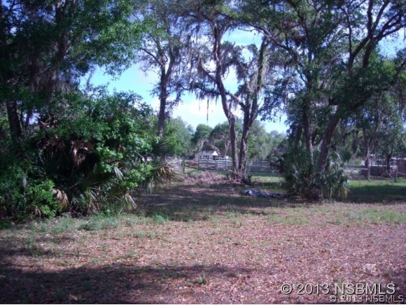 4590 Tree Top Lane Edgewater, FL 32141 - Photo 14 of 24 Gallery Image 14