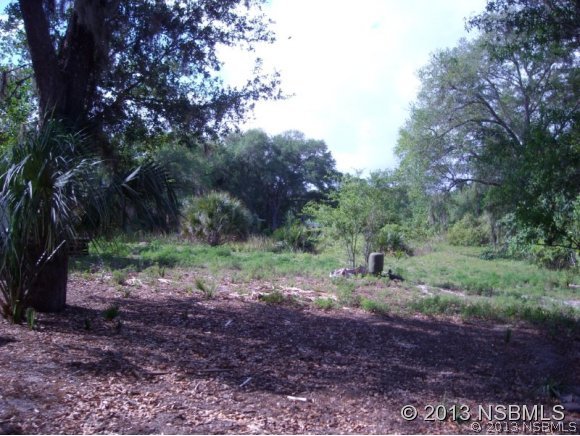 4590 Tree Top Lane Edgewater, FL 32141 - Photo 4 of 24 Gallery Image 4