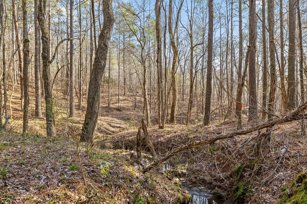 3 Carver Mill Road Jasper, GA 30143 - Photo 18 of 46 a view of a backyard
