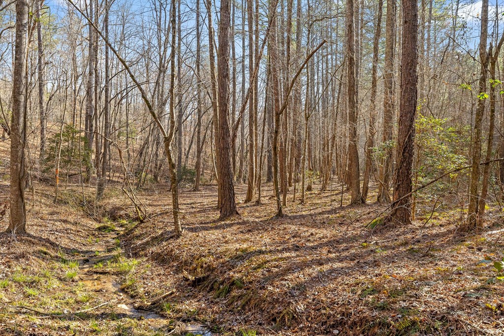 3 Carver Mill Road Jasper, GA 30143 - Photo 20 of 46 a view of a backyard with trees