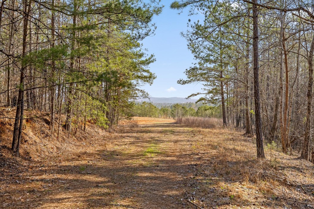 3 Carver Mill Road Jasper, GA 30143 - Photo 2 of 46 a view of beach and yard