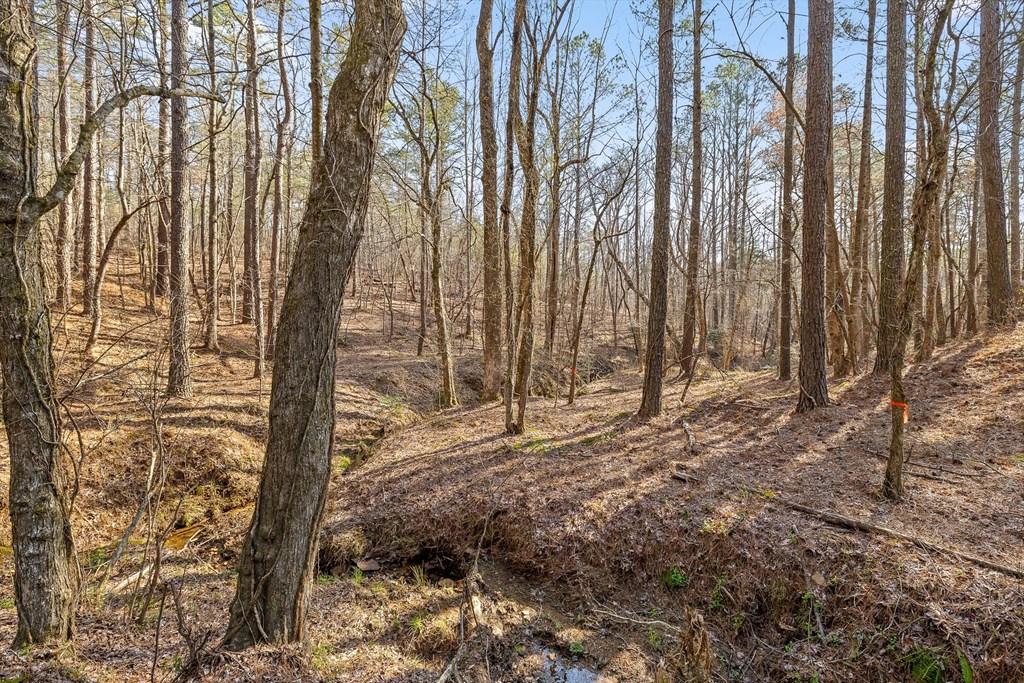 3 Carver Mill Road Jasper, GA 30143 - Photo 21 of 46 a view of a backyard of the house