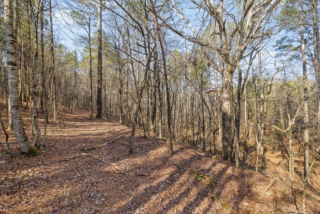 3 Carver Mill Road Jasper, GA 30143 - Photo 23 of 46 a view of backyard of house