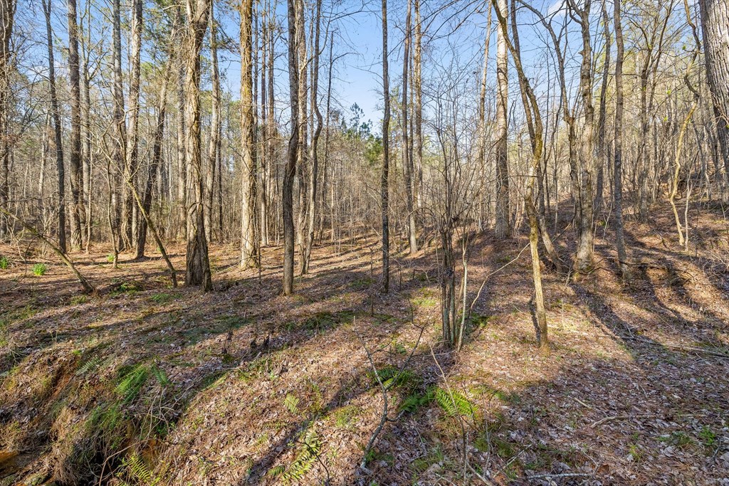 3 Carver Mill Road Jasper, GA 30143 - Photo 24 of 46 a view of outdoor space with wooden fence