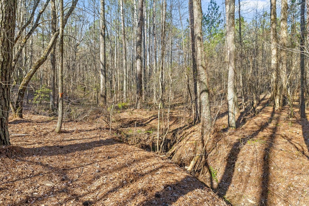 3 Carver Mill Road Jasper, GA 30143 - Photo 25 of 46 a view of a backyard of the house