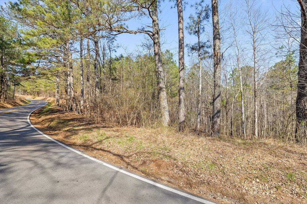 3 Carver Mill Road Jasper, GA 30143 - Photo 28 of 46 a view of a yard with trees