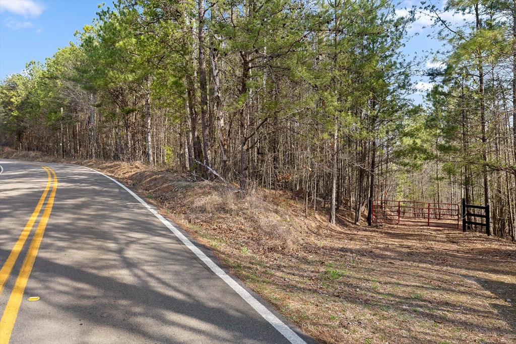 3 Carver Mill Road Jasper, GA 30143 - Photo 29 of 46 a view of yard with trees