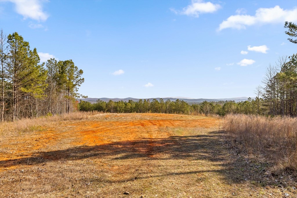 3 Carver Mill Road Jasper, GA 30143 - Photo 3 of 46 a view of an ocean