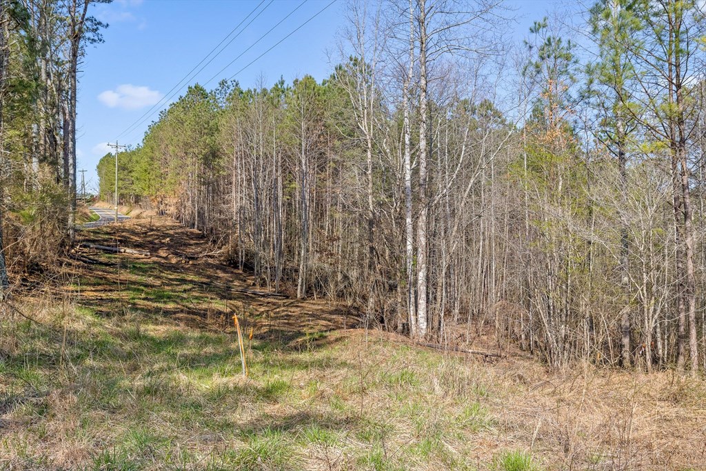 3 Carver Mill Road Jasper, GA 30143 - Photo 36 of 46 a view of a backyard of the house