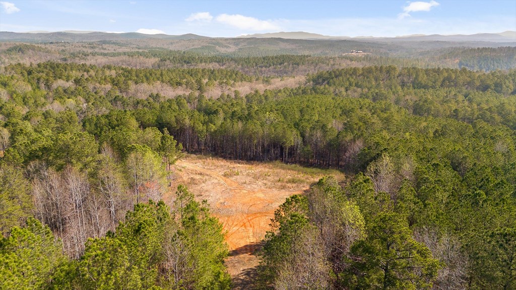 3 Carver Mill Road Jasper, GA 30143 - Photo 6 of 46 a view of mountain view with mountains in the background