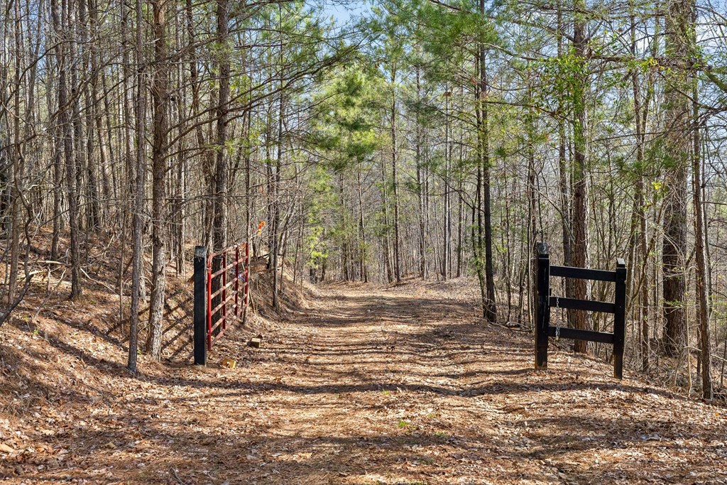 3 Carver Mill Road Jasper, GA 30143 - Photo 8 of 46 a view of a backyard with wooden fence and large trees