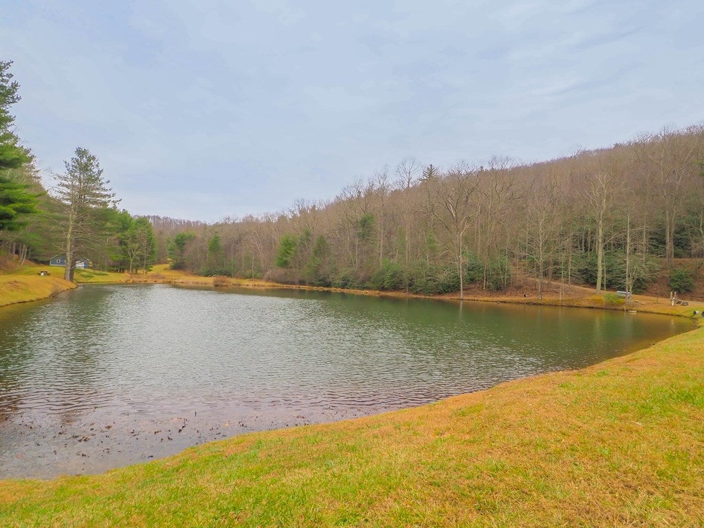 Tbd Spring Lure Trail, Unit F13 2B Fancy Gap, VA 24328 - Photo 9 of 14 Gallery Image 9