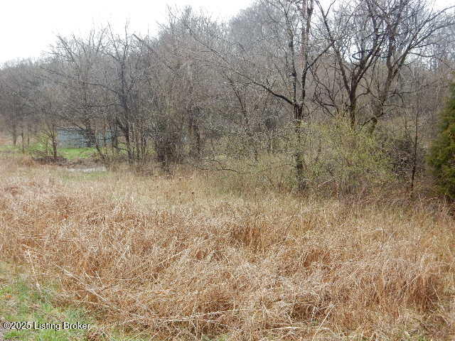 246 Eva-Michelle Lane Shepherdsville, KY 40165 - Photo 23 of 34 DSCN7597