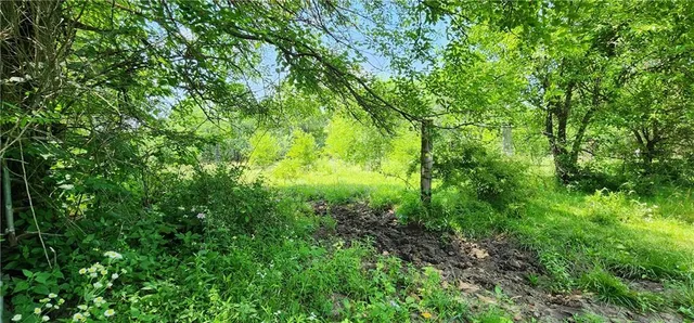 $297,500 | Tbd East 315th Street, Creighton, MO 64739