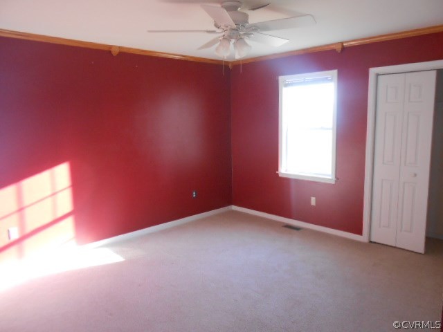 15290 Lebanon Road Spring Grove, VA 23881 - Photo 3 of 16 Gallery Image 3