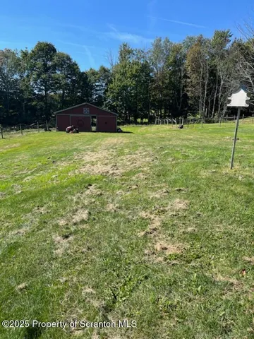 a view of a green field with lots of bushes