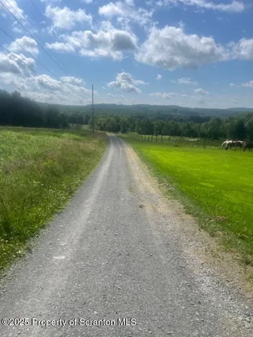 a view of a field with an ocean
