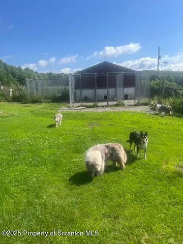 a bunch of flowers in front of flowers