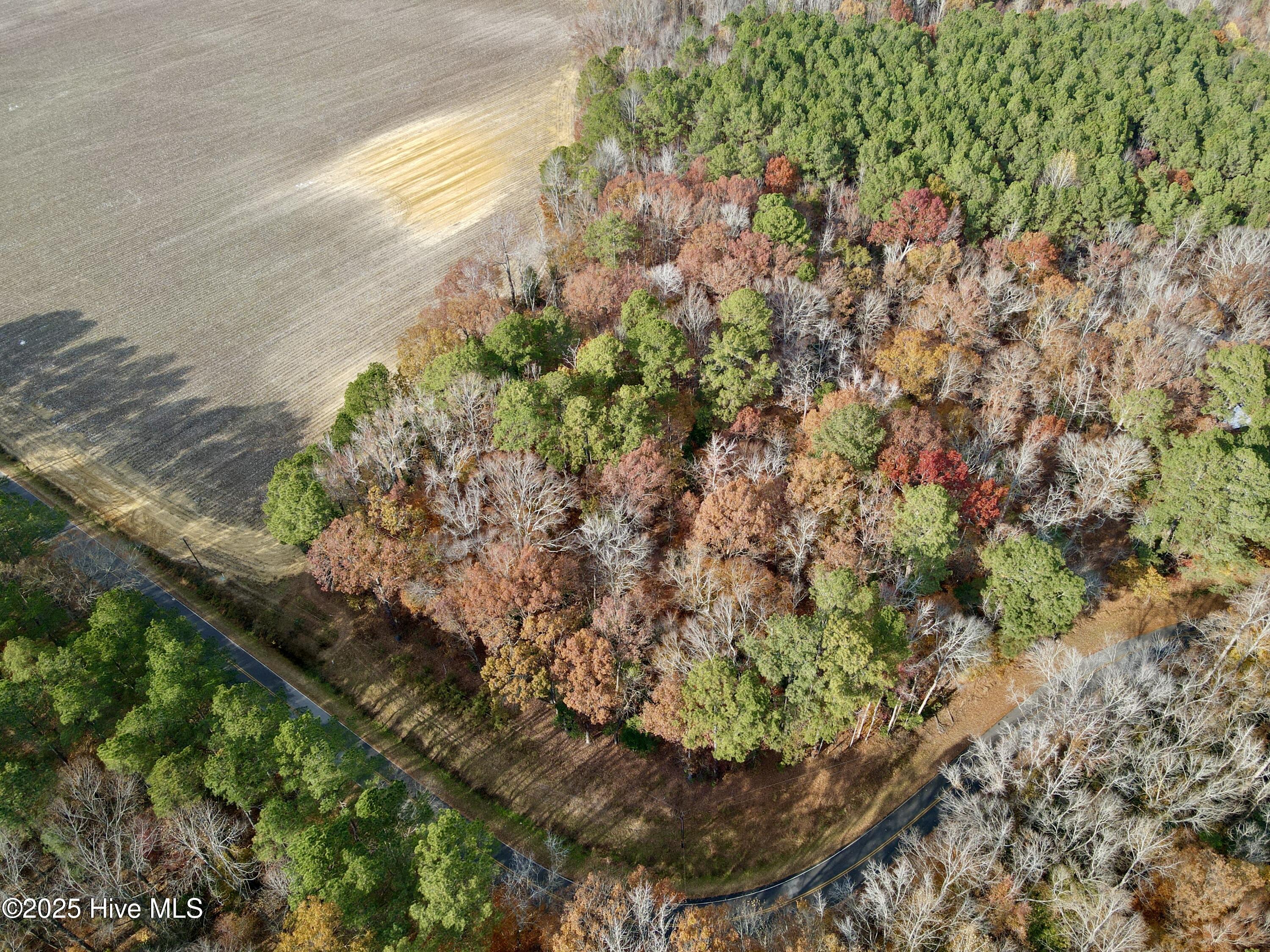 0 Williams Road Williamston, NC 27892 - Photo 3 of 16 Aerial Top View