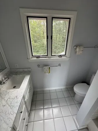 a bathroom with a sink a toilet and window