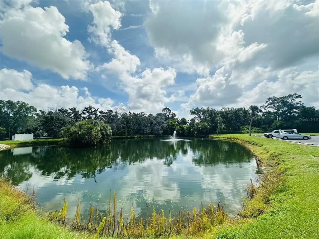 4805 Rilma Avenue, Unit 106 Sarasota, FL 34234 - Photo 24 of 24 a view of a lake with a yard and trees