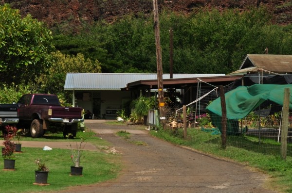 4909 D Menehune Road, Unit 2 Waimea, HI 96796 - Photo 18 of 21 Gallery Image 18