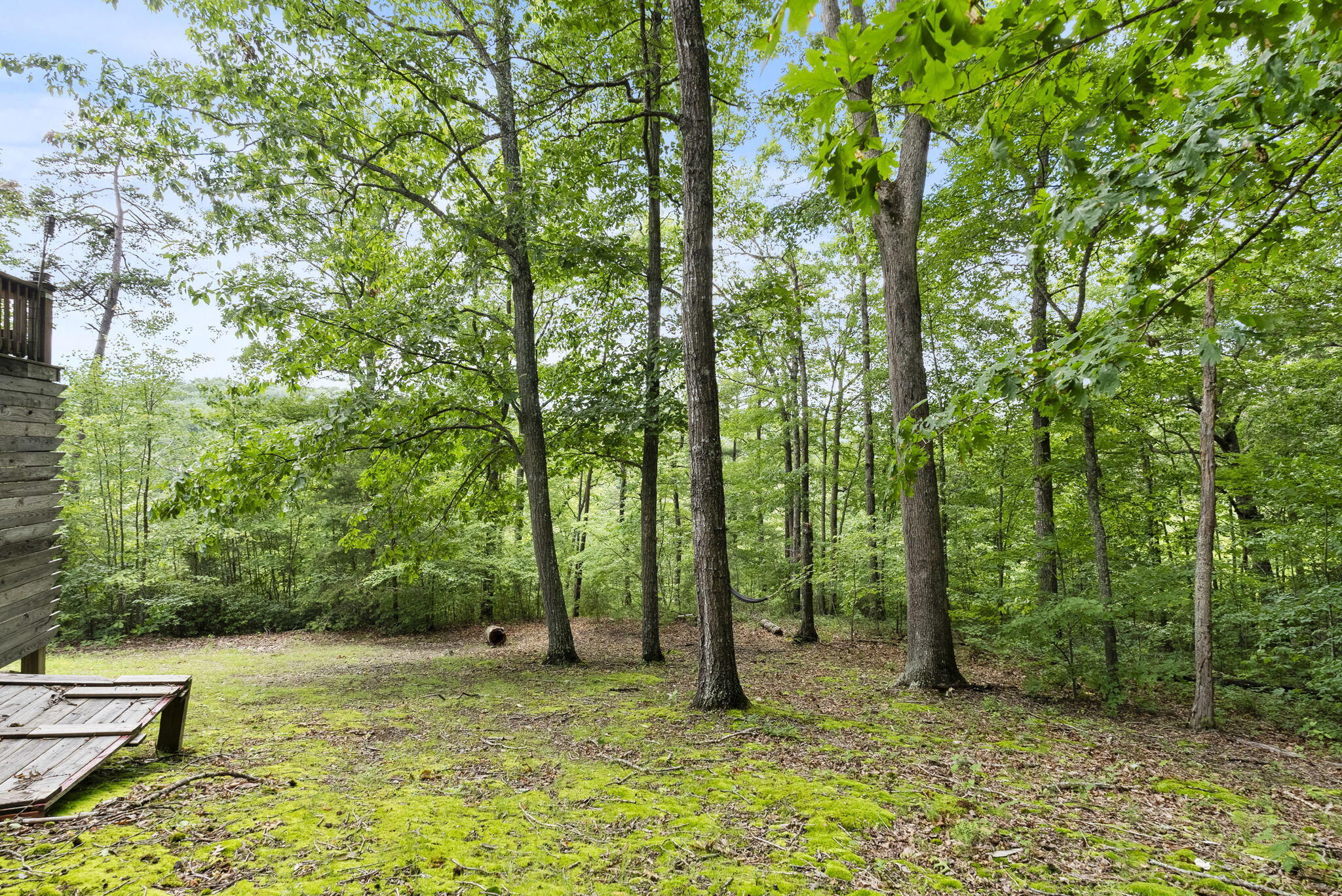 96 Long Run Road Wellington, KY 40387 - Photo 25 of 27 25-web-or-mls-DSC01508