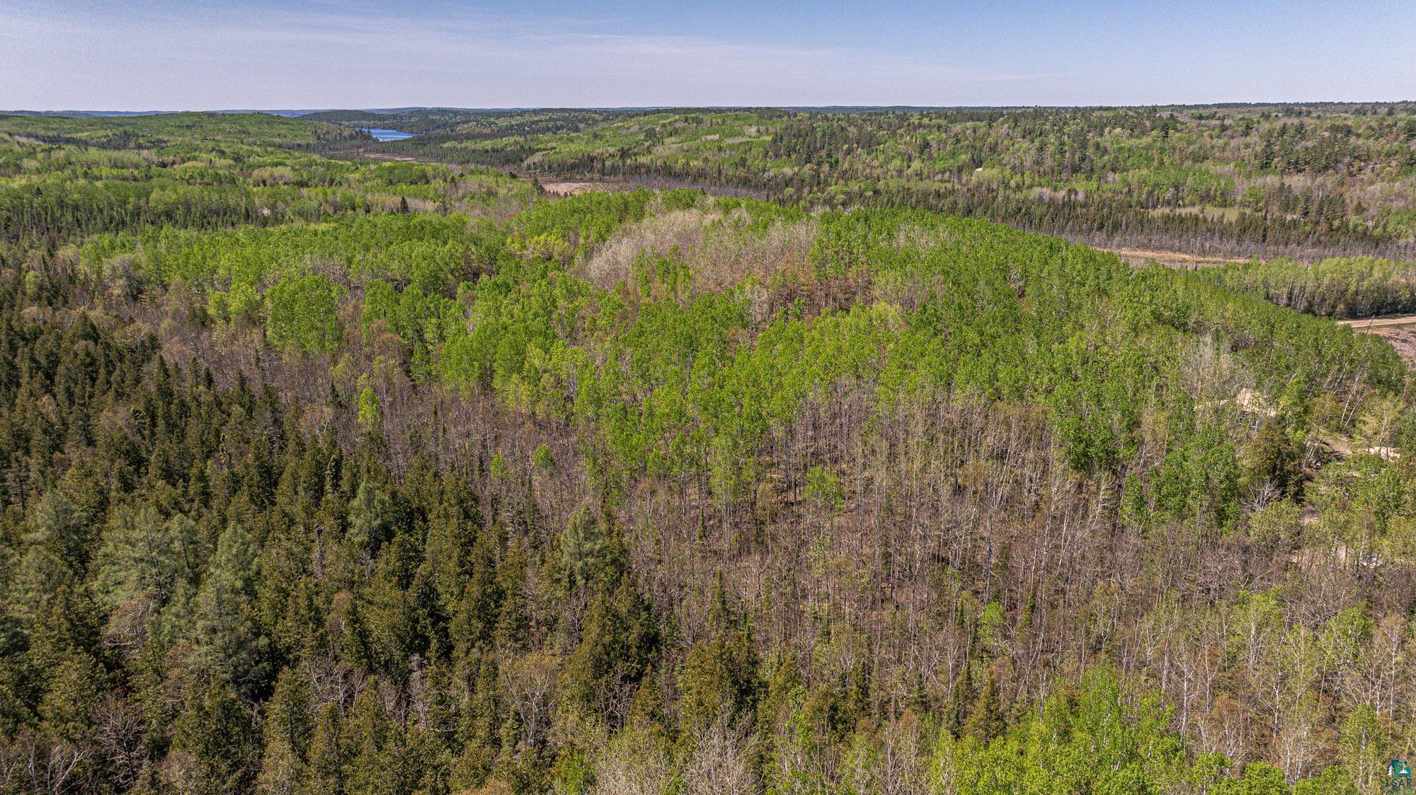 4304 Mud Creek Road Ely, MN 55731 - Photo 92 of 98