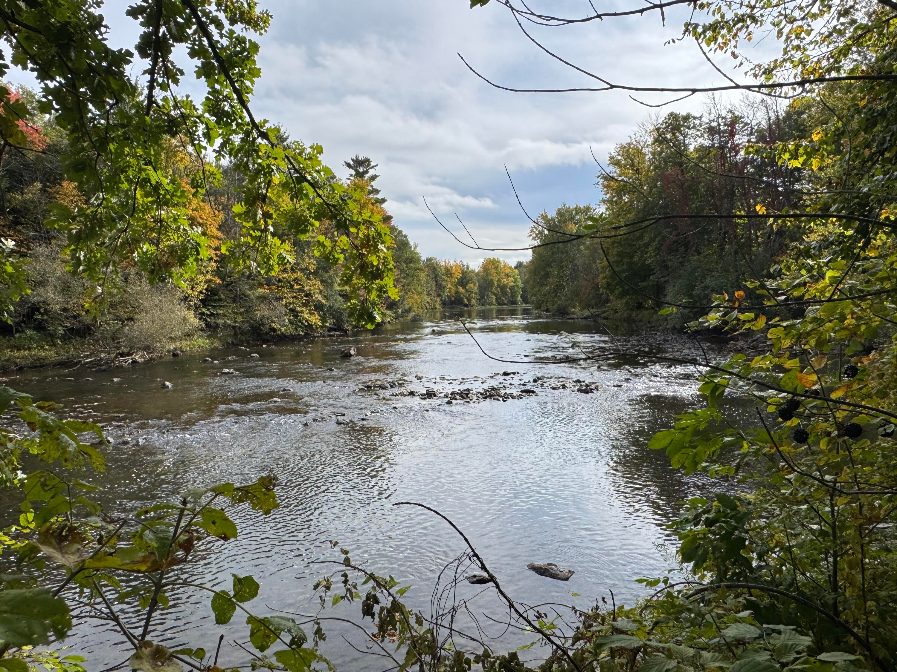 554 St Johns Road Champlain, NY 12919 - Photo 23 of 28 Gallery Image 23