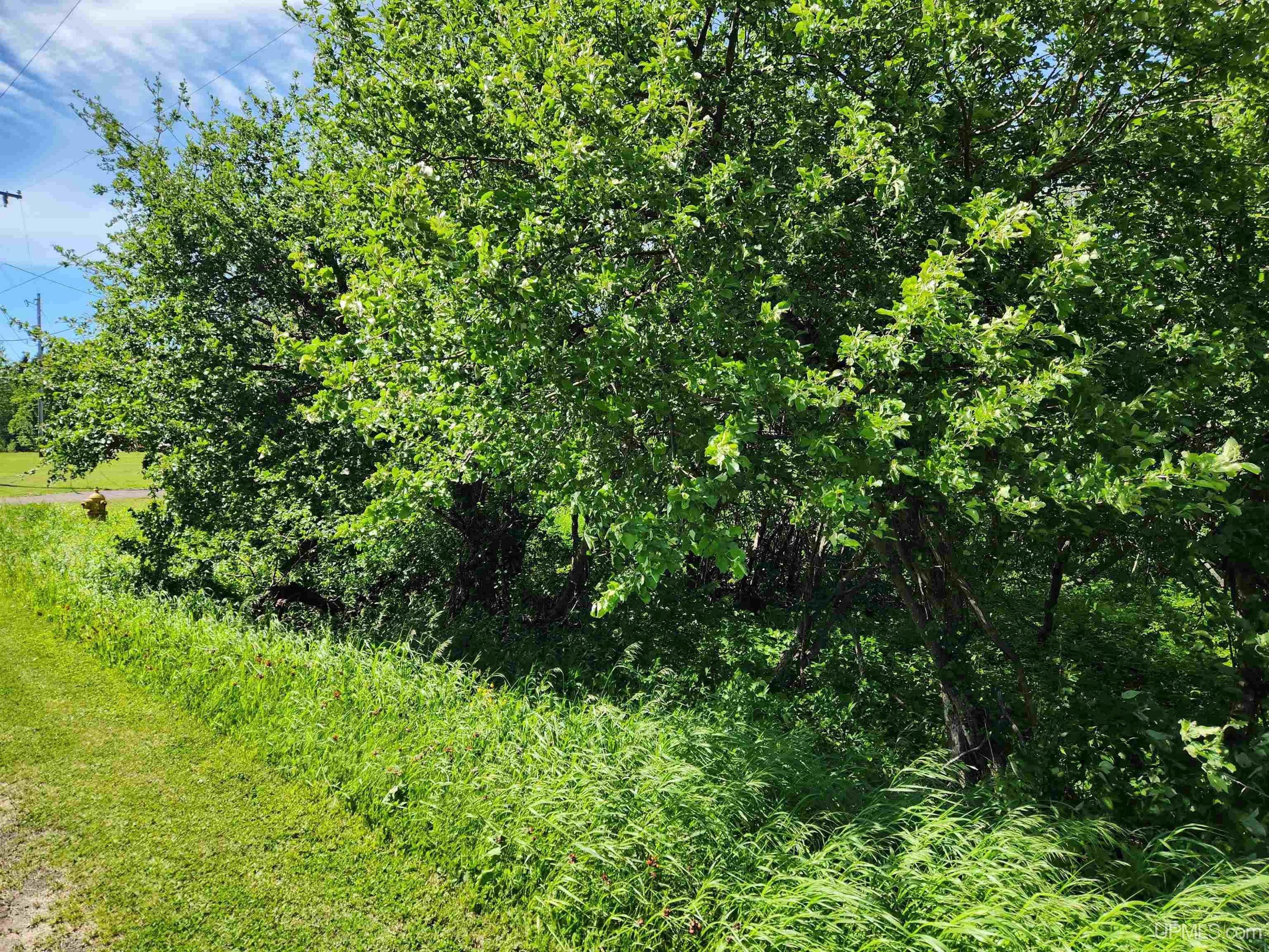 Tbd A Tbd A Road Calumet, MI 49913 - Photo 3 of 12