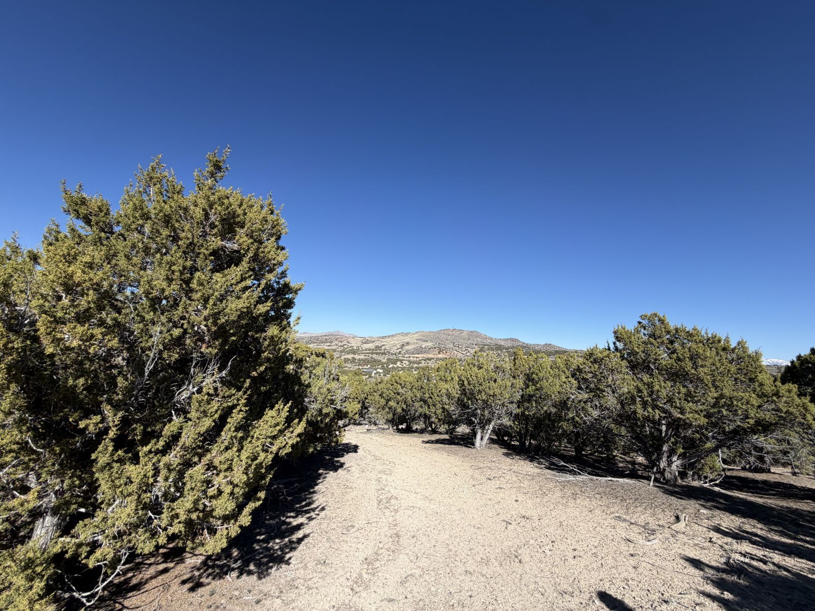 Andy's Way Elko, NV 89801 - Photo 5 of 16