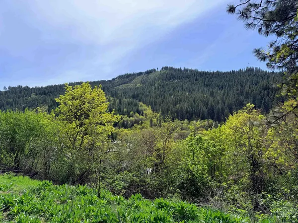 $160,000 | 1620-0 Forsman Street, Orofino, ID 83544