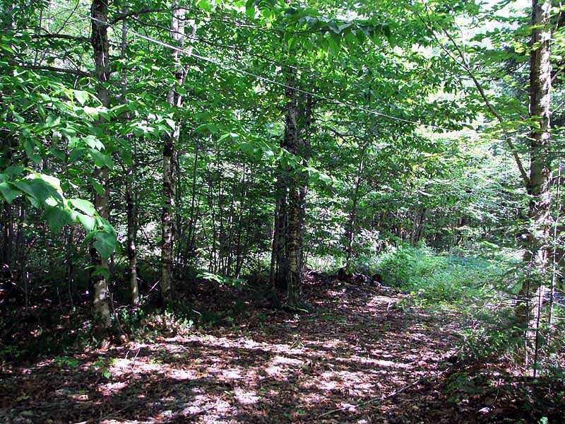 6 Monument Road Amity, ME 04471 - Photo 8 of 26 Land.