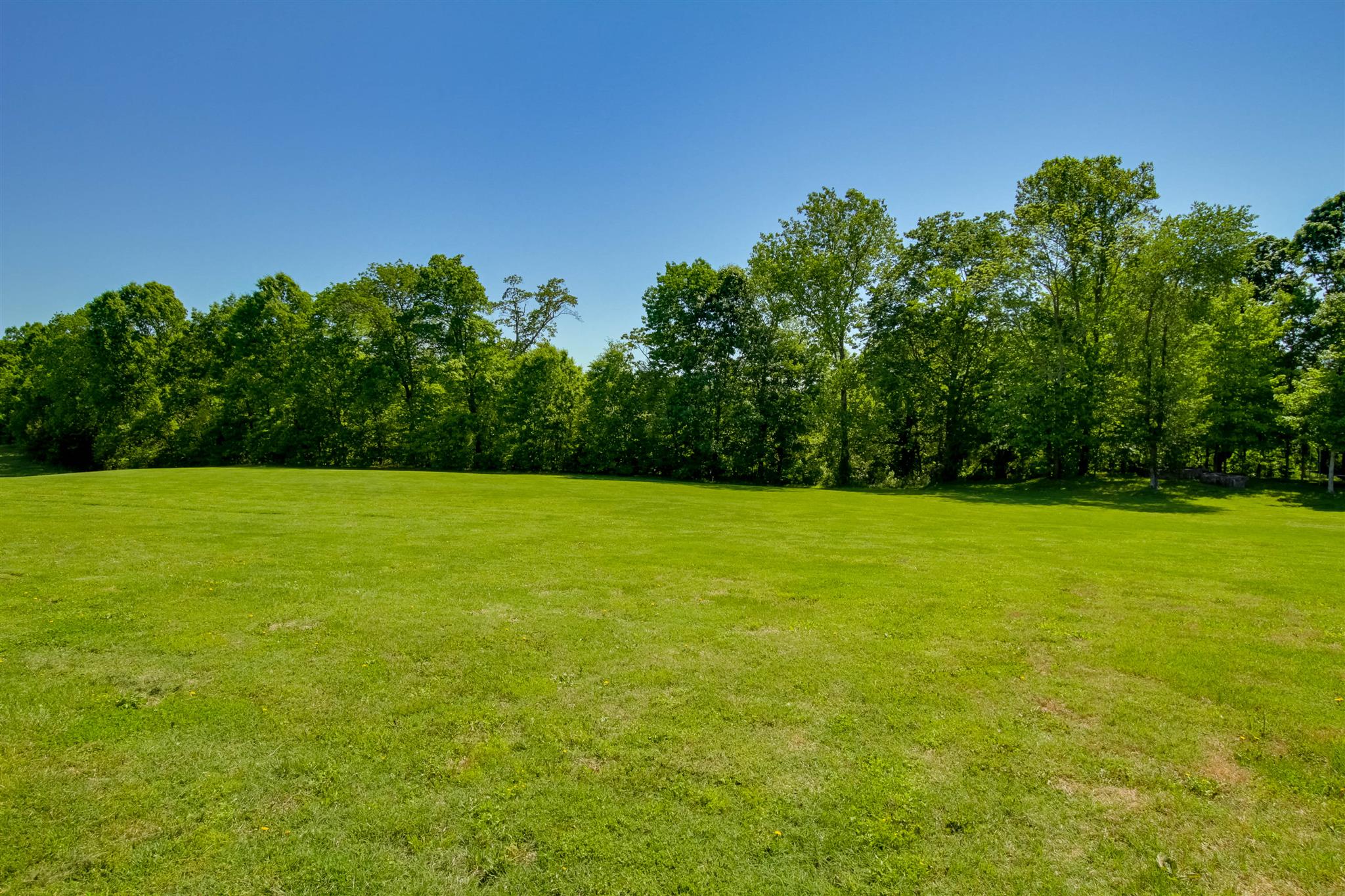 408 Ranch Road Portland, TN 37148 - Photo 25 of 29 One view of of the incredible yard. Lots of land for all your outdoor activities. Ask me about additional land for sale.
