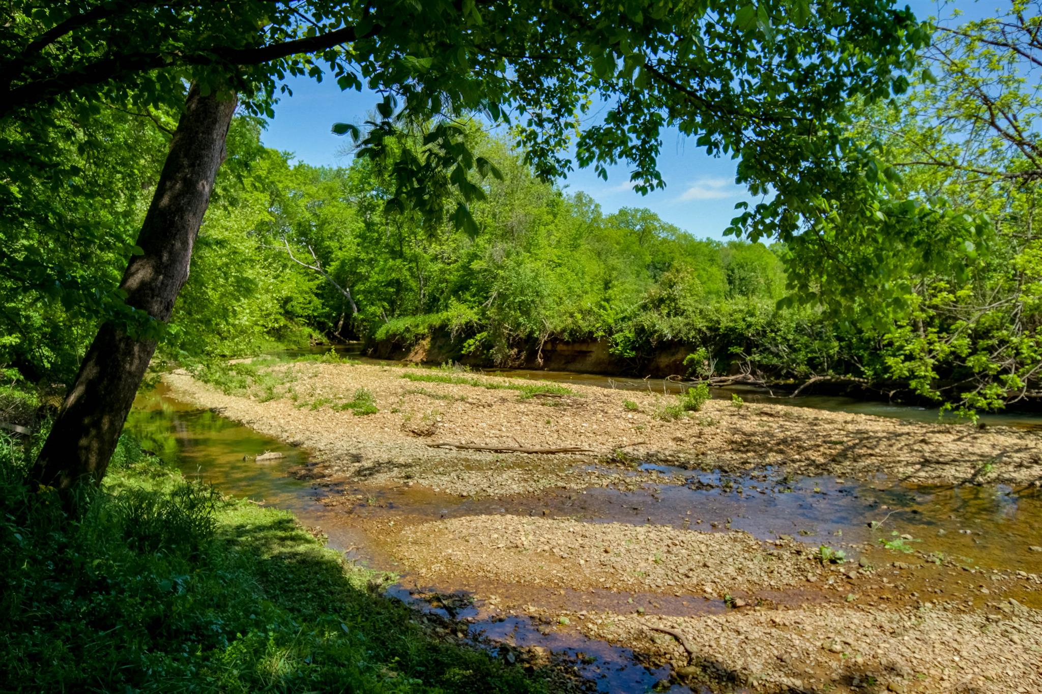 408 Ranch Road Portland, TN 37148 - Photo 28 of 29 Who wouldn't have fun playing in the creek. Set back at the end of the property, it's a great place to explore.