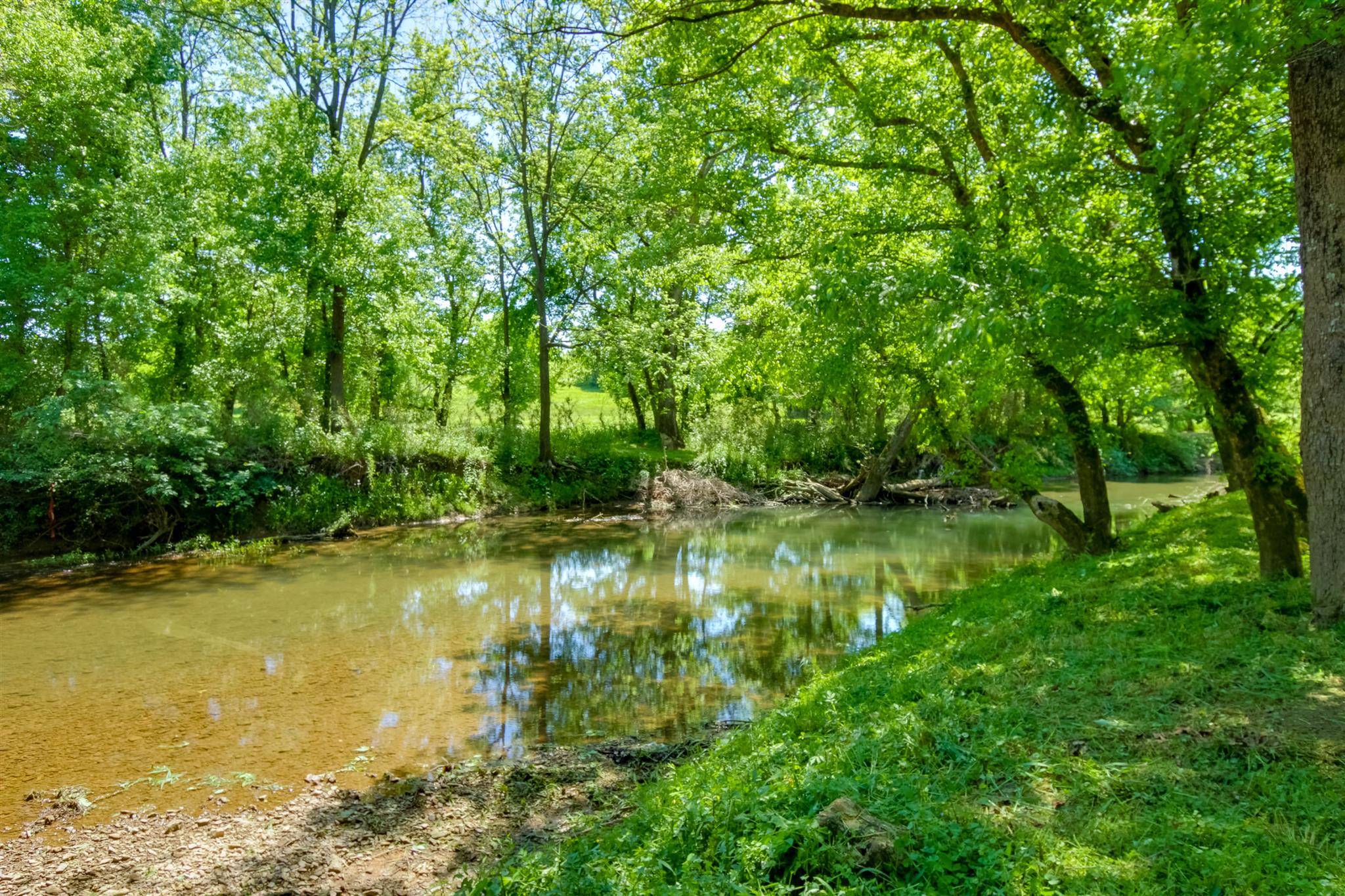 408 Ranch Road Portland, TN 37148 - Photo 29 of 29 Another area of the creek. Ask me about the additional 2.37 acres for sale.